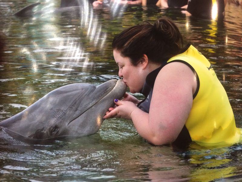 Meeting a Dolphin at Discovery Cove in Florida