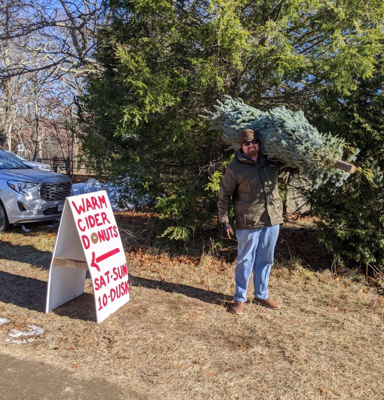 Cutting Our Christmas Tree