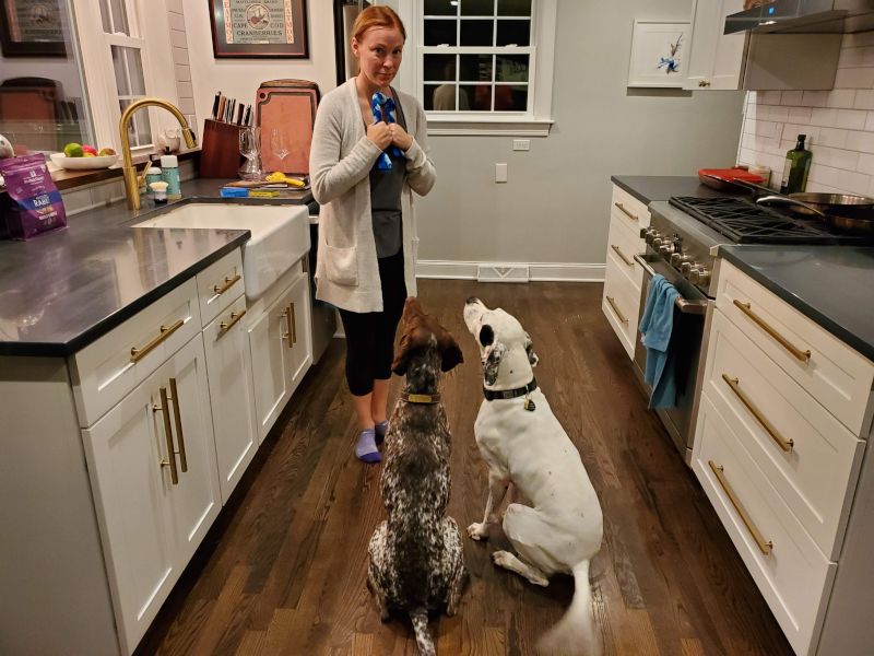 Training Time With the Dogs