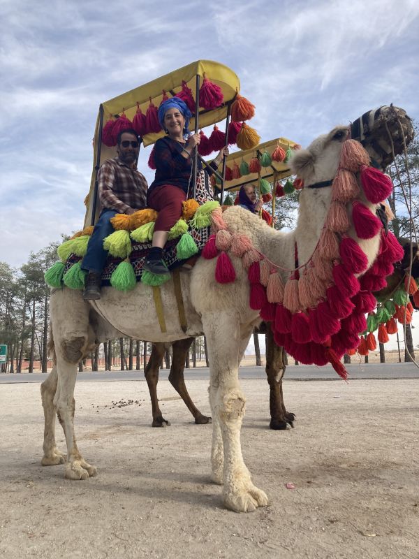 Camel Ride