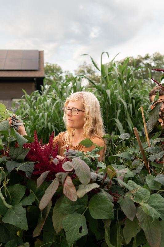 Sam Harvesting Beans From Our Garden