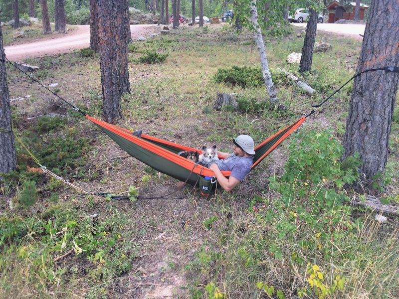 Naptime in the Black Hills