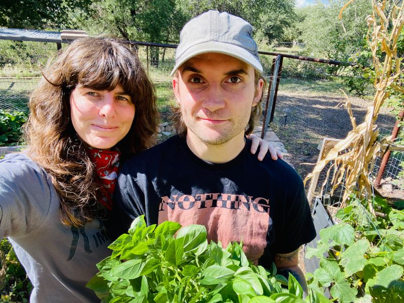 Harvesting Basil