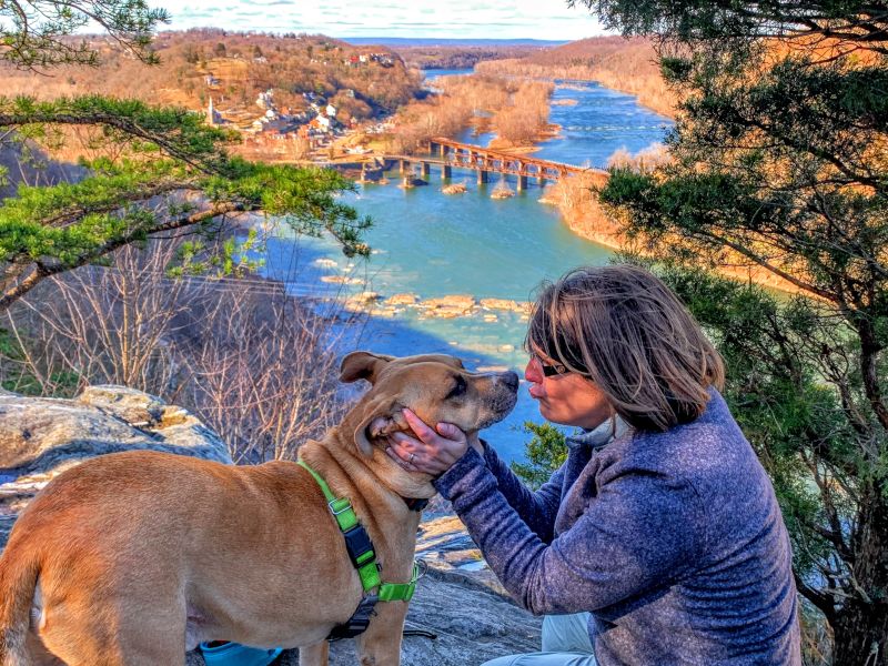 Loyal Trail Guide