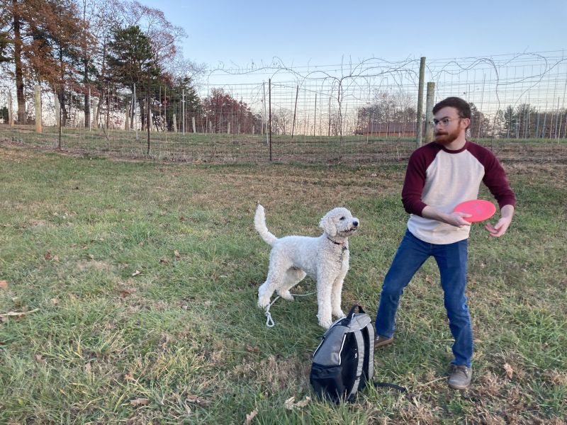 The Perfect Disc Golf Duo