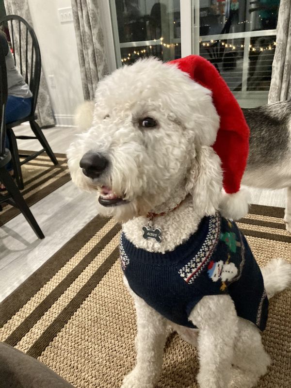 Albus Is the Life of the Party!