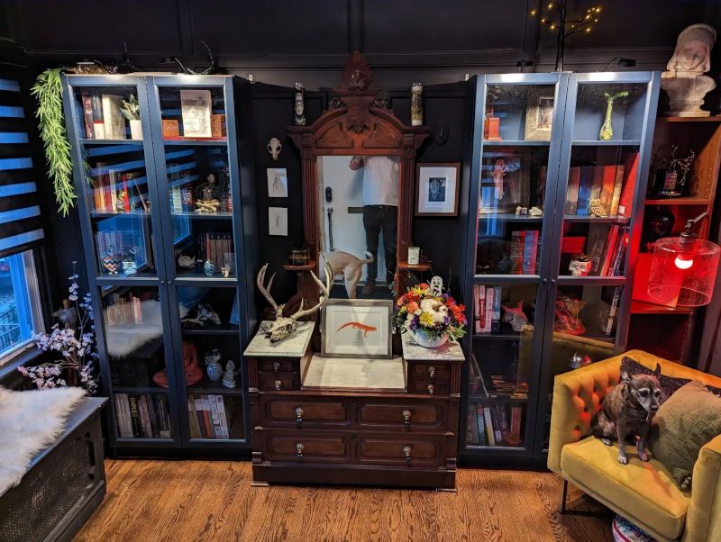 Our Library