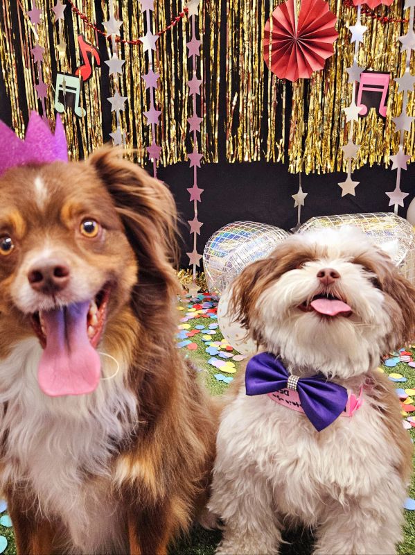 Daisy and Koopa All Dressed Up