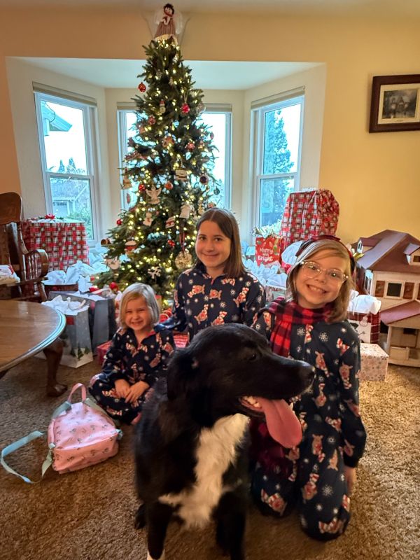 Merry Christmas!