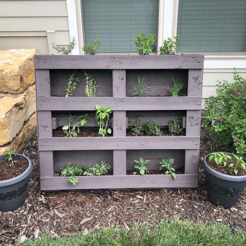 A Hobby That Brings Us Joy