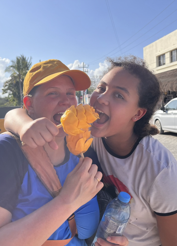 Mangos in Mexico