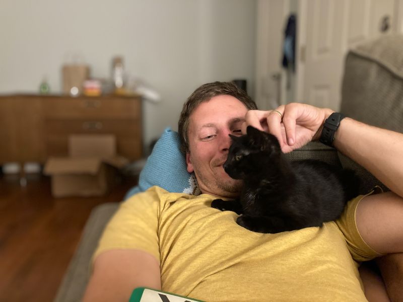 Jay & Lila Kitten