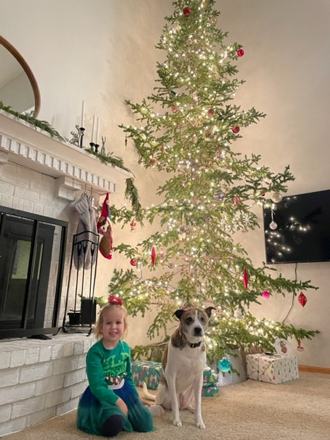 Christmas Is a Magical Time in Our House
