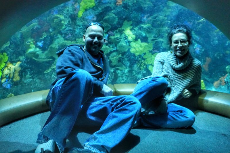 We Have One of the Best Aquariums in Our Town
