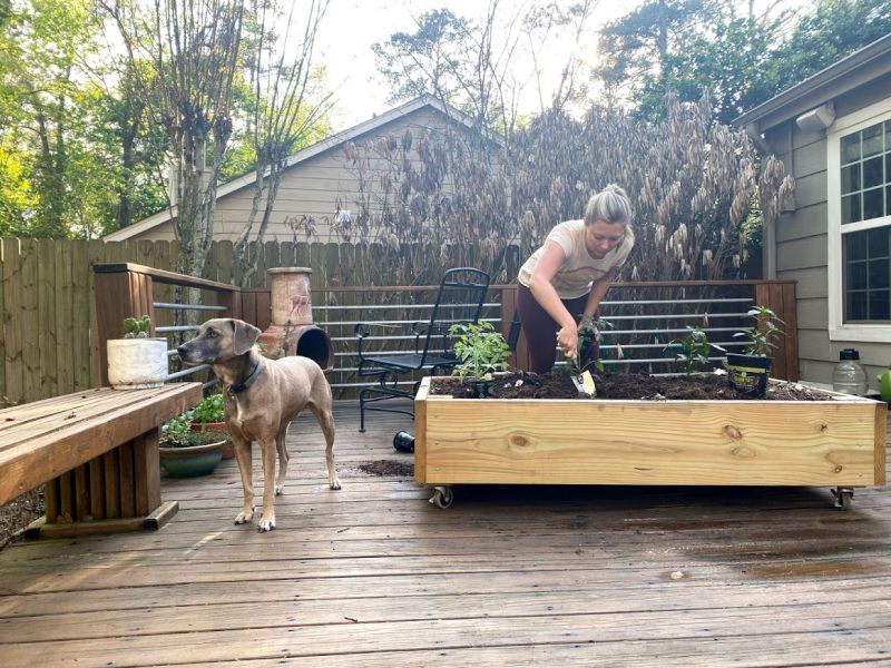 Christan Gardening