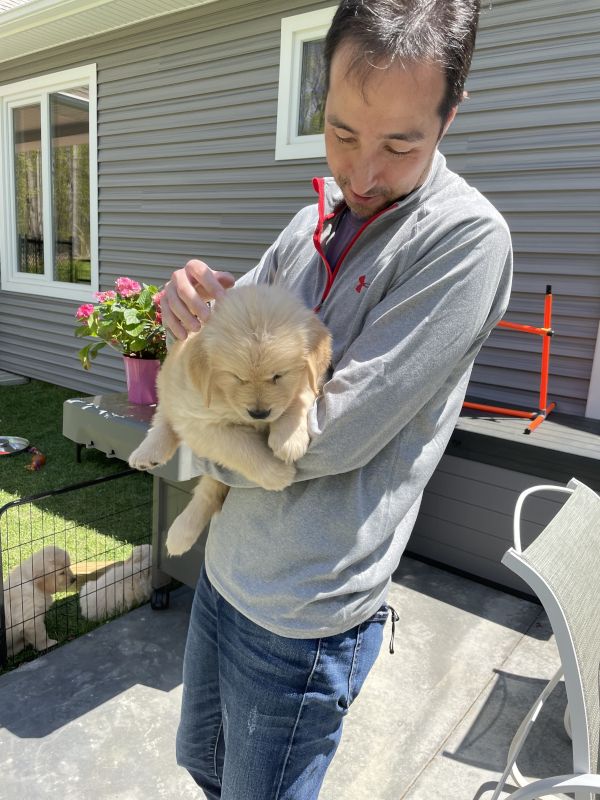 With Our New Pup, Bali