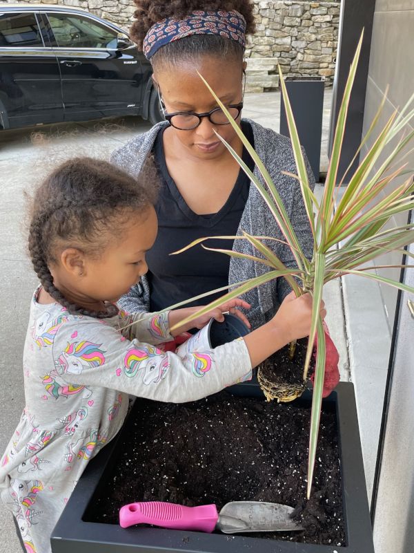 Spring Planting